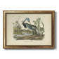 Audubons Louisiana Heron Premium Framed Canvas- Ready to Hang