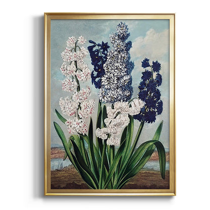 Temple of Flora XII - Modern Framed Canvas Print