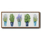 Herbs In A Row - Floater Framed Canvas Print