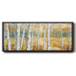 Birch Path II - Floater Framed Canvas Print