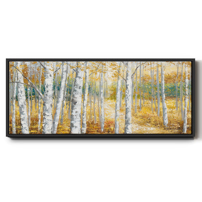 Birch Path II - Floater Framed Canvas Print