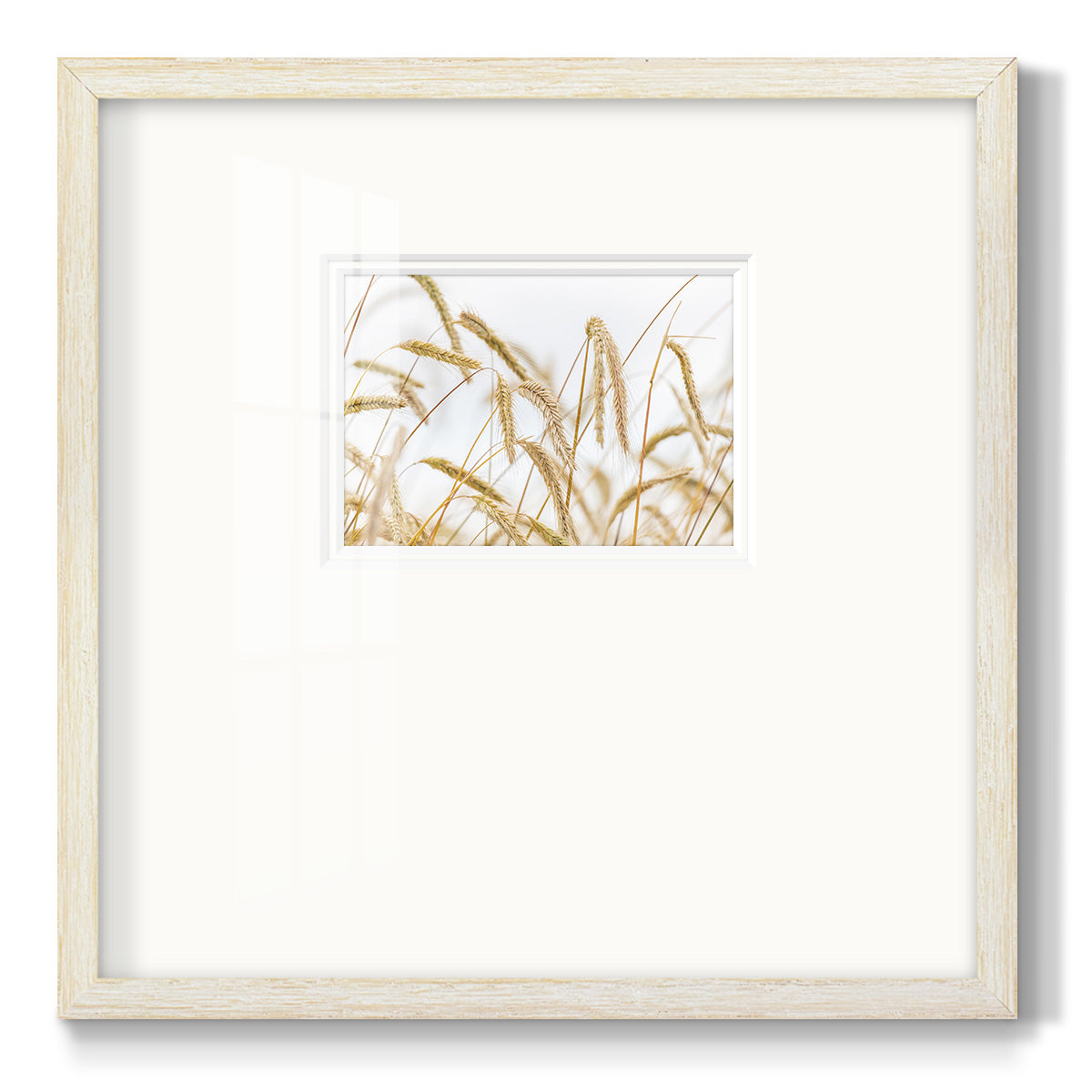 Wheat Premium Framed Print Double Matboard