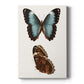 Antique Blue Butterflies IV Premium Gallery Wrapped Canvas - Ready to Hang