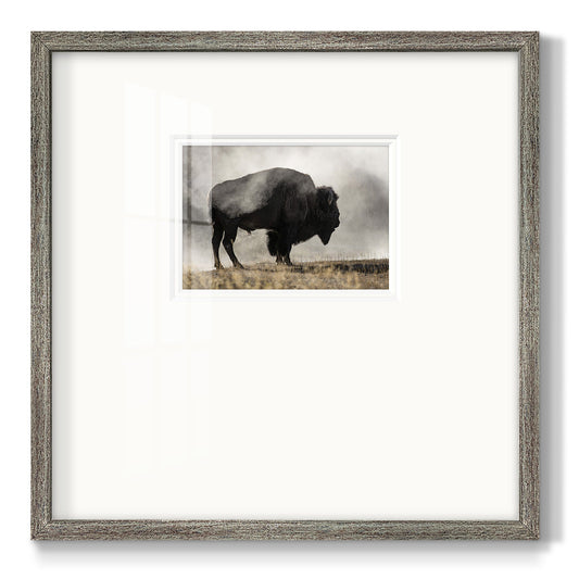 Geyser Basin Premium Framed Print Double Matboard