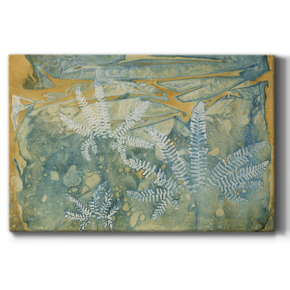 Floating Ferns - Canvas Art Print