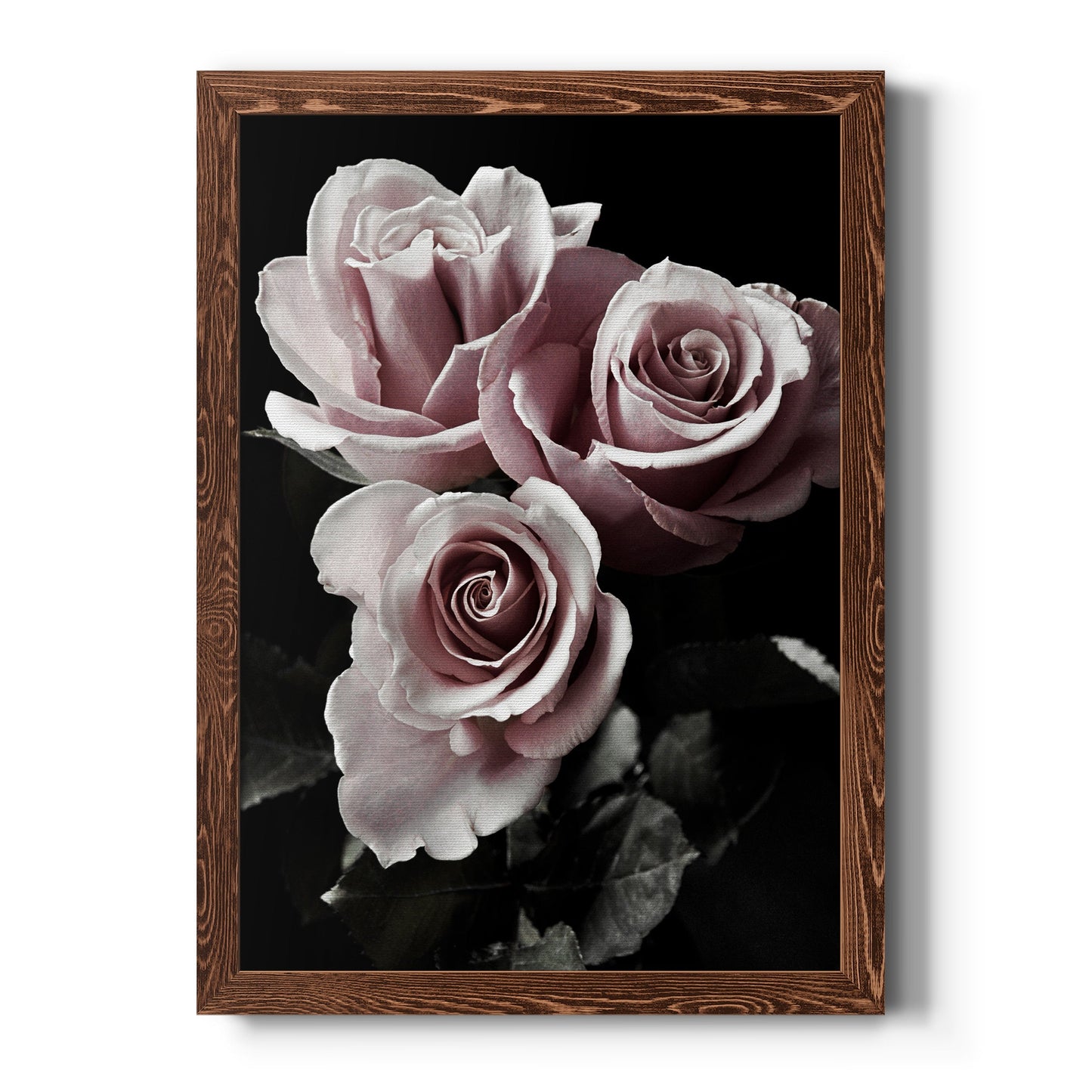 Rose Noir I - Barnwood Framed Canvas Print