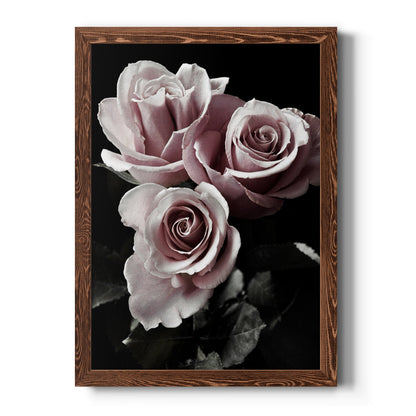 Rose Noir I - Barnwood Framed Canvas Print