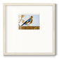 Golden Finch Premium Framed Print Double Matboard