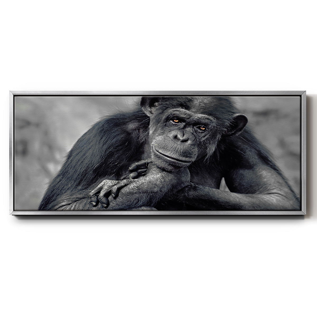 Captivated - Floater Framed Canvas Print