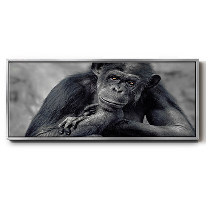 Captivated - Floater Framed Canvas Print