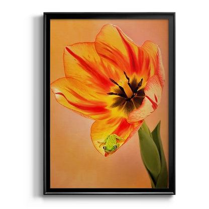 Hanging On VI - Modern Framed Canvas Print