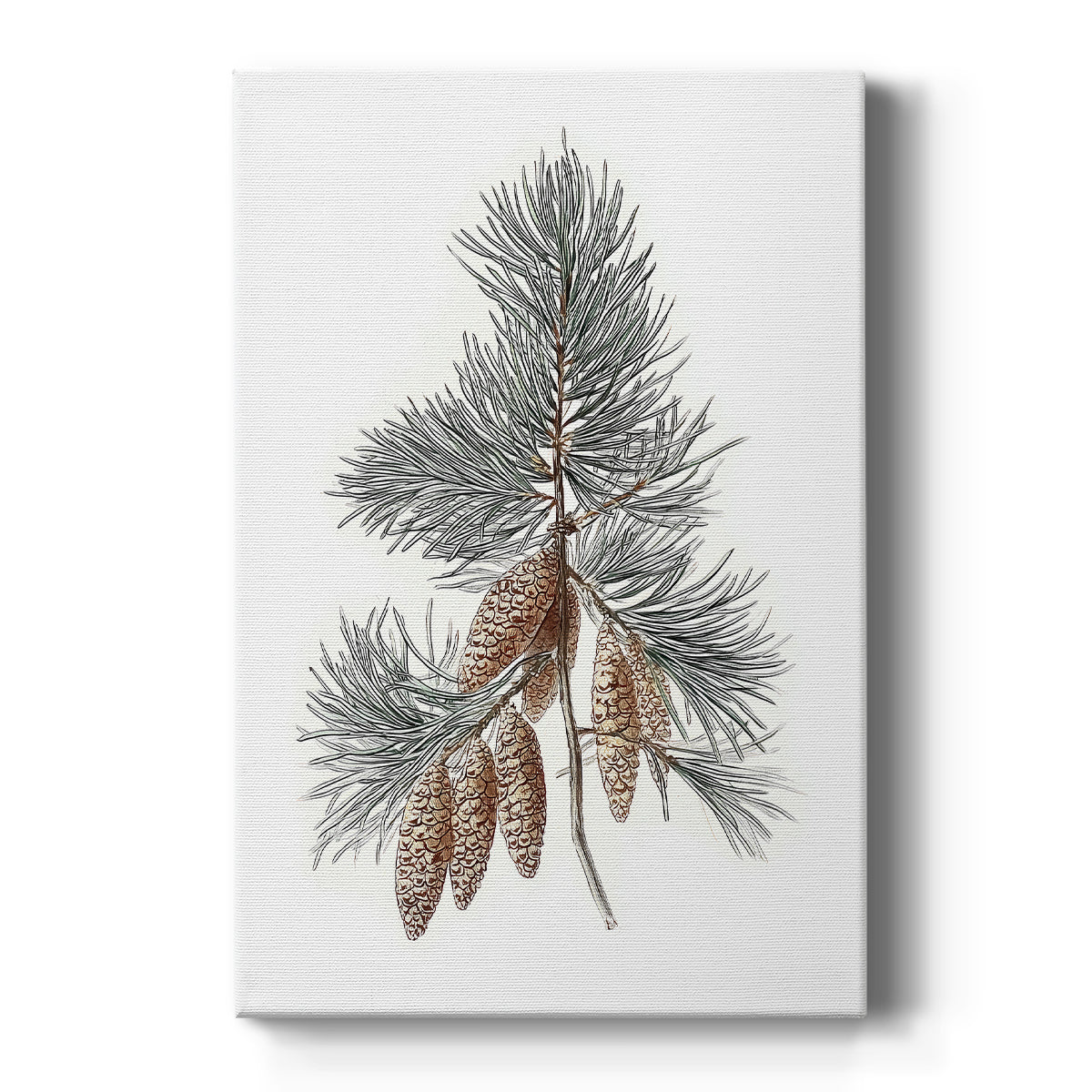 Pearled Eve Lane - Canvas Art Print