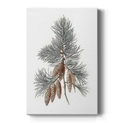 Pearled Eve Lane - Canvas Art Print