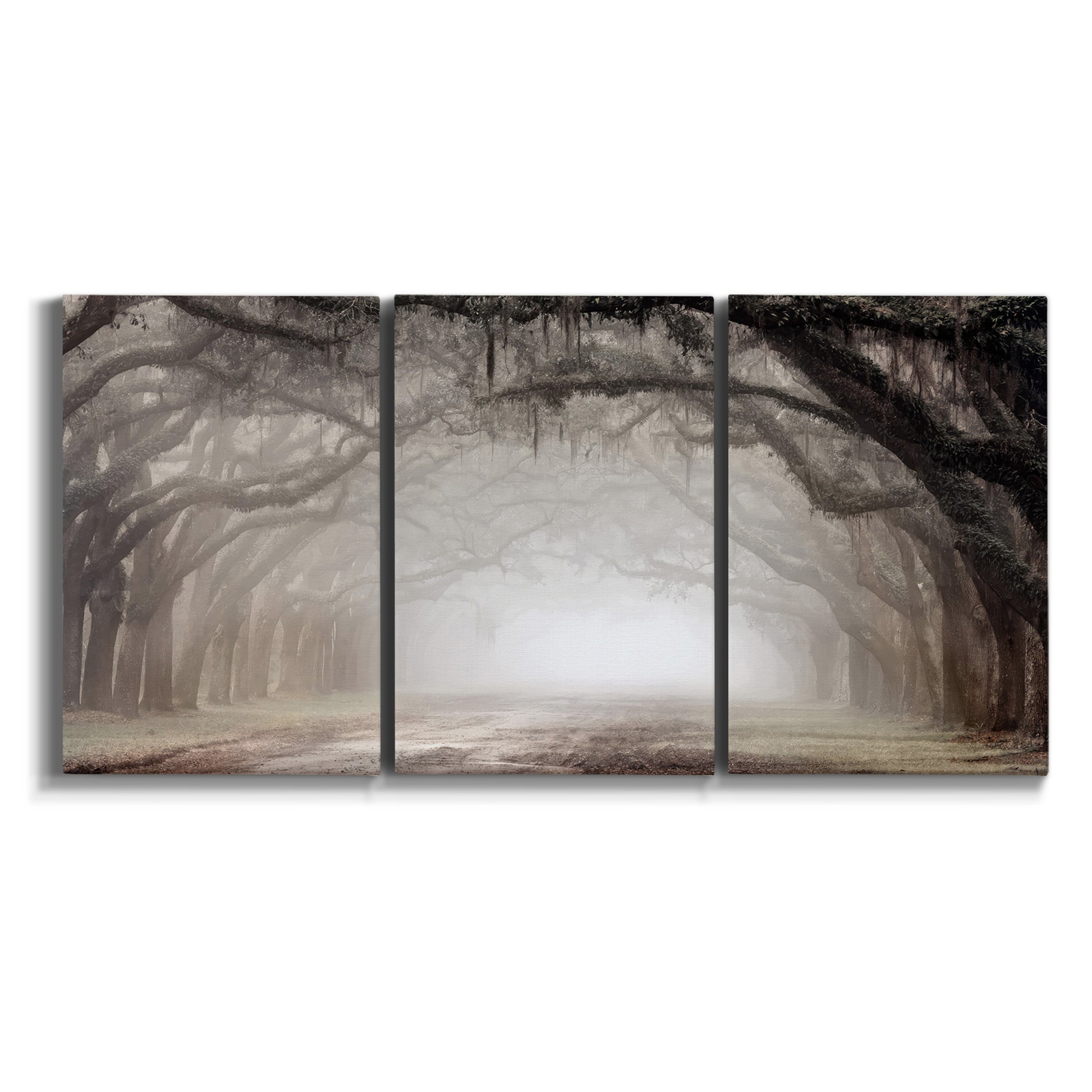 Three-panel canvas wall art featuring tree lined plantation road on white background.