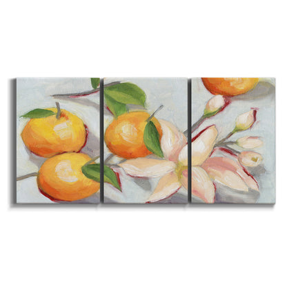 Three-panel canvas wall art featuring bright tangerine still life blossoms on white background.