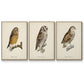 French Owls I - Framed Premium Gallery Wrapped Canvas L Frame 3 Piece Set - Ready to Hang