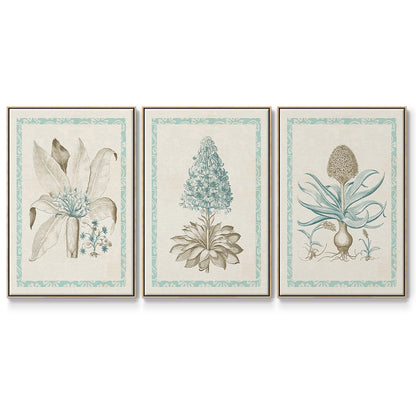 Willow Blue Besler IV - Floater Framed Canvas Set