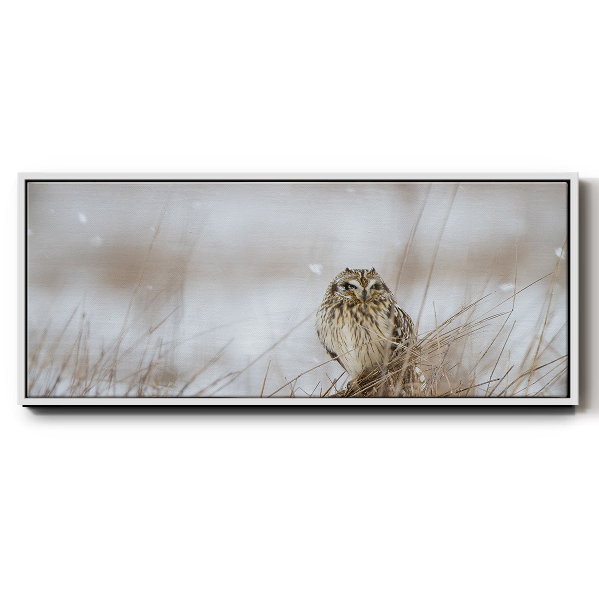 Prairie Winter - Floater Framed Canvas Print