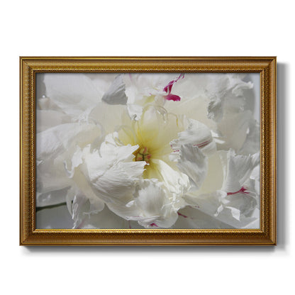 Breathless II Premium Framed Canvas- Ready to Hang