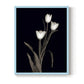 Tulip Pose I - Restickable Framed Art Print
