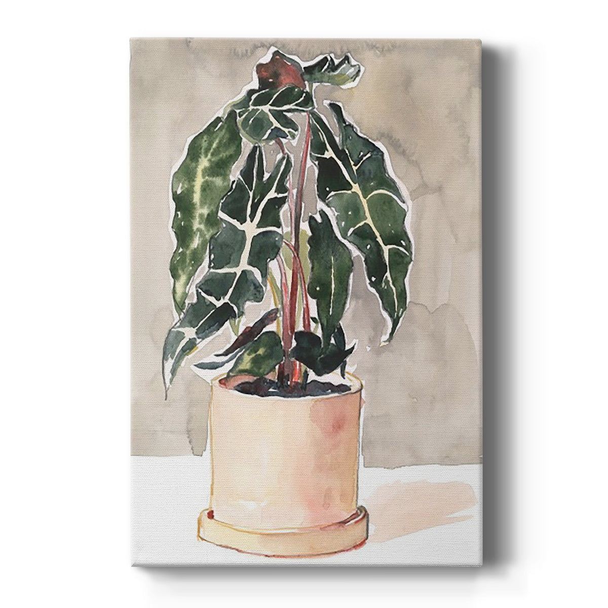 Potted Houseplant I - Canvas Art Print