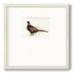 Pheasant Splash 1 Premium Framed Print Double Matboard