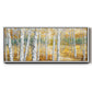 Birch Path II - Floater Framed Canvas Print