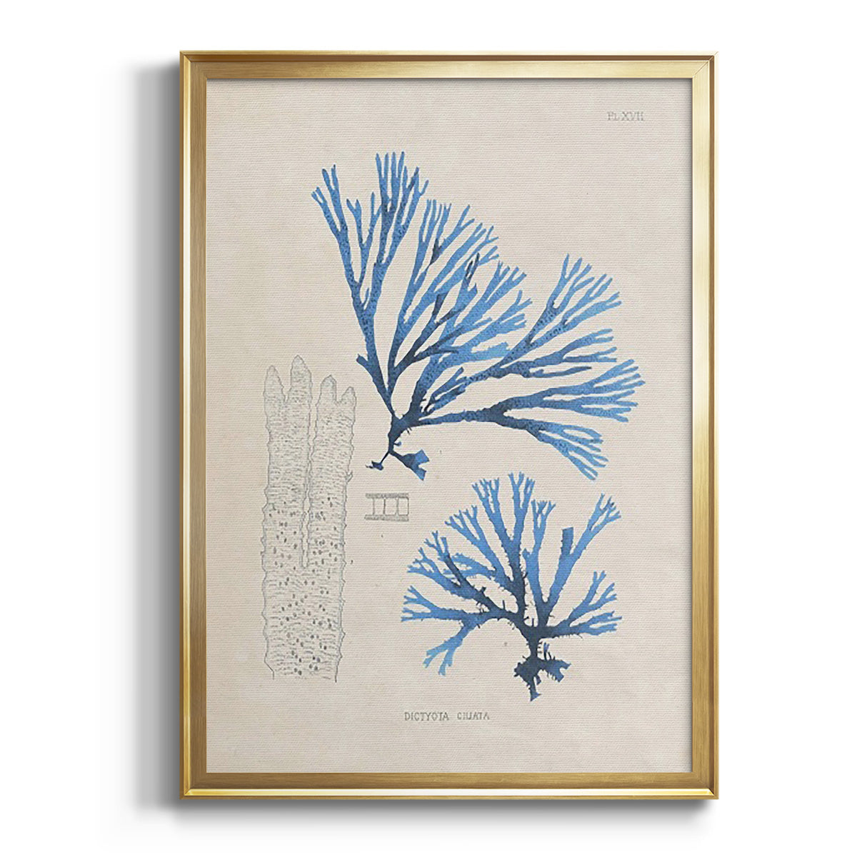 Blue Marine Algae V - Modern Framed Canvas Print