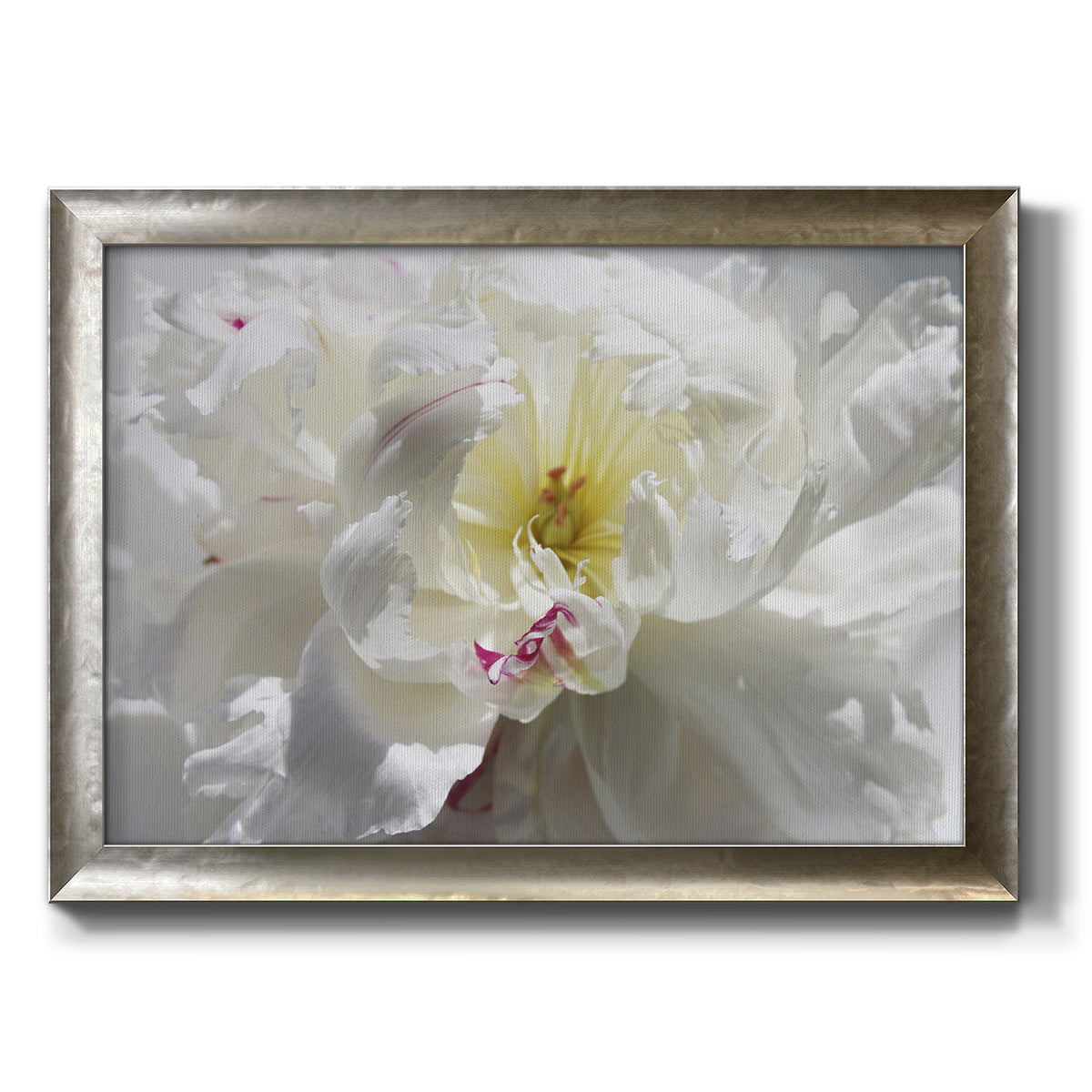 Breathless III Premium Framed Canvas- Ready to Hang