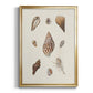 Knorr Shells & Coral IX - Modern Framed Canvas Print