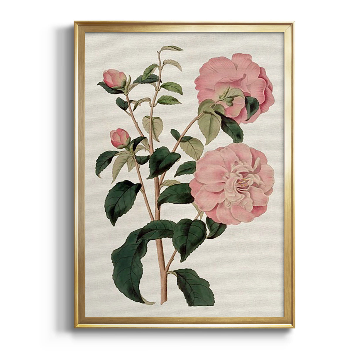 Pink Floral Mix IV - Modern Framed Canvas Print