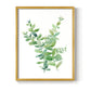 Eucalyptus III - Restickable Framed Art Print
