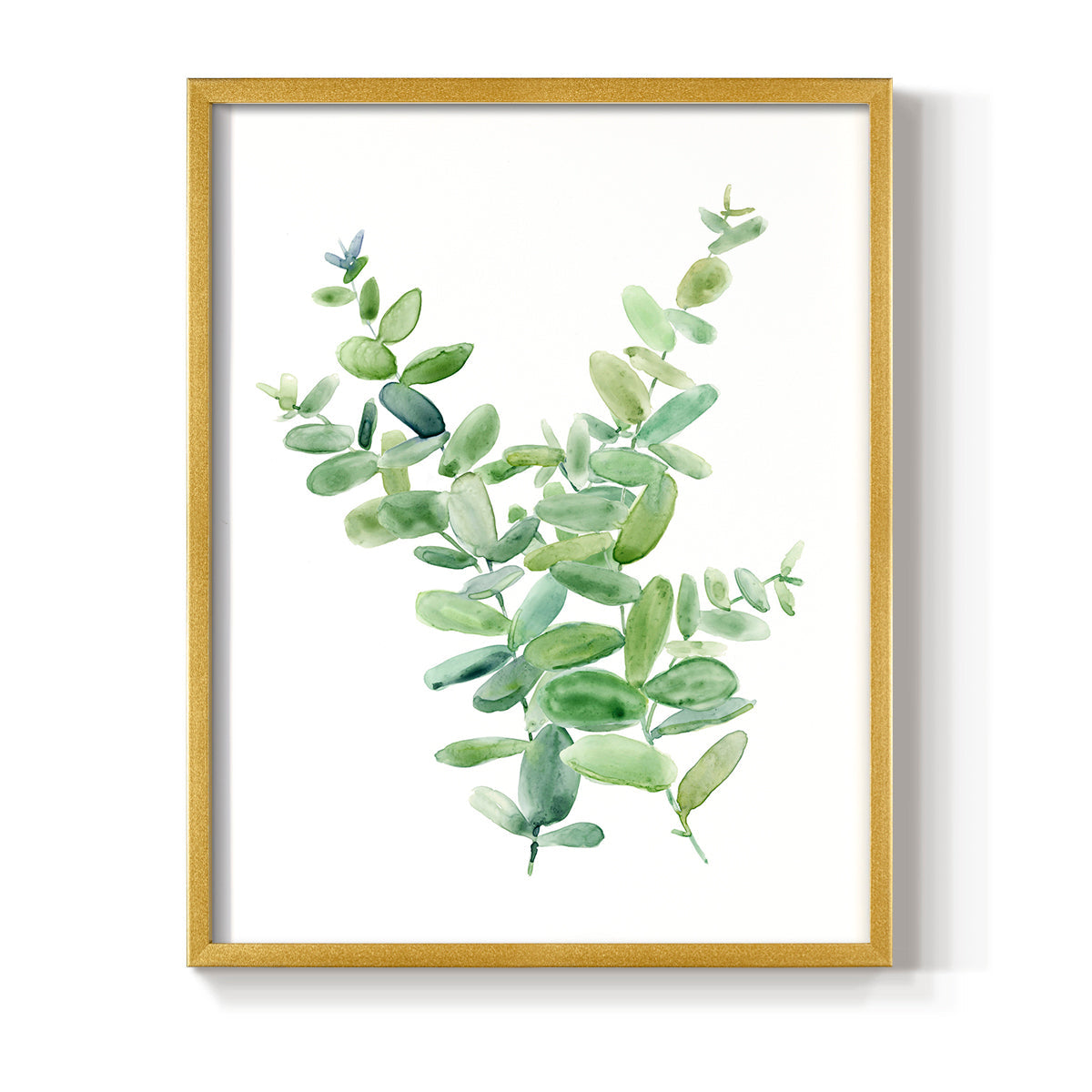 Eucalyptus III - Restickable Framed Art Print