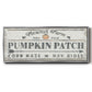 Pumpkin Patch II - Floater Framed Canvas Print