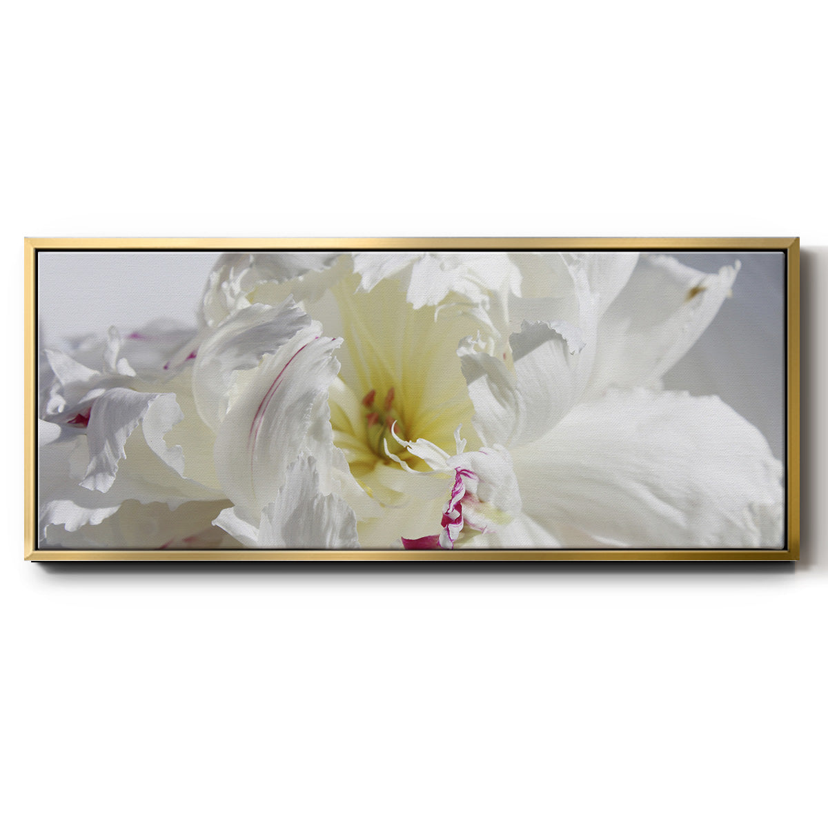 Breathless IV - Floater Framed Canvas Print