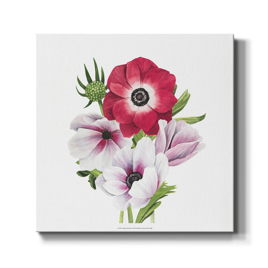 Anemone Blooms I-Premium Gallery Wrapped Canvas - Ready to Hang