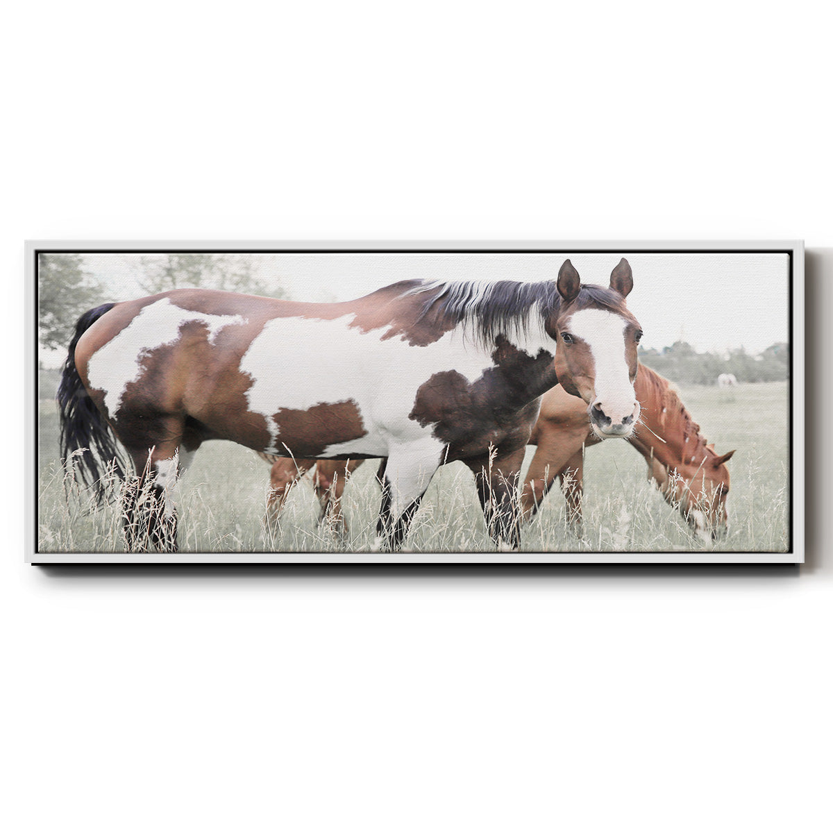 Grazin' - Floater Framed Canvas Print