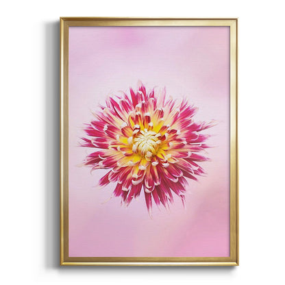 Exotic Flower Burst I - Modern Framed Canvas Print