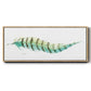 Tail Feather II - Floater Framed Canvas Print