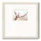 Cherry Blossom Study I - Double Matboard Framed Print