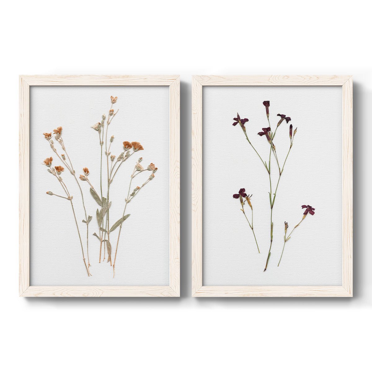 Pressed Botanical I - Premium Framed Canvas 2 Piece Set - Ready to Hang