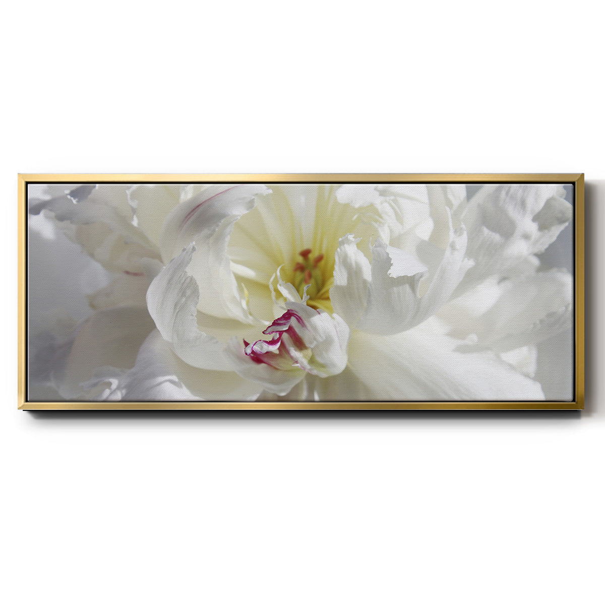 Breathless V - Floater Framed Canvas Print