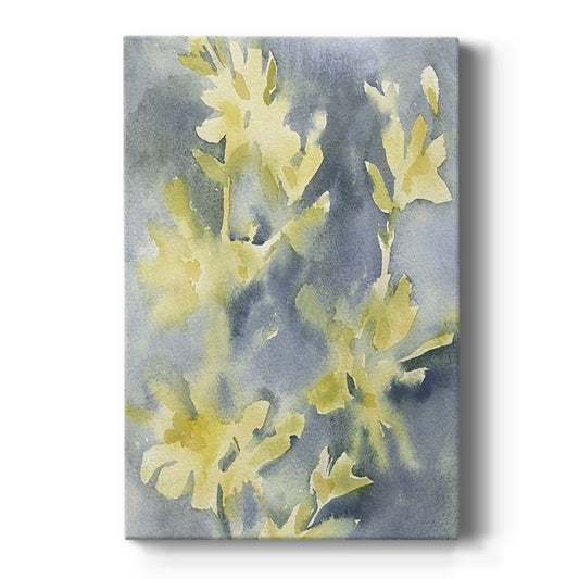 Forsythia Blooms II - Canvas Art Print