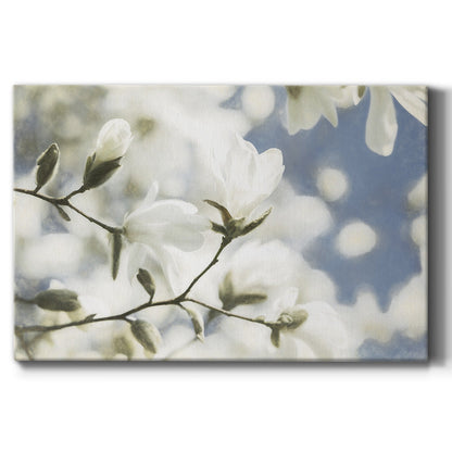 Unfolding Beauty - Canvas Art Print