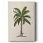 UA CH British Palms II Premium Gallery Wrapped Canvas - Ready to Hang