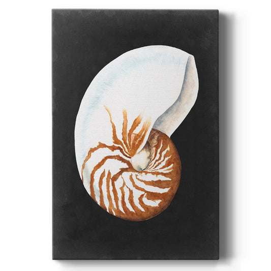 Graphic Nautilus Premium Gallery Wrapped Canvas - Ready to Hang