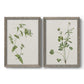 Wispy Botanical I - Premium Framed Canvas 2 Piece Set - Ready to Hang