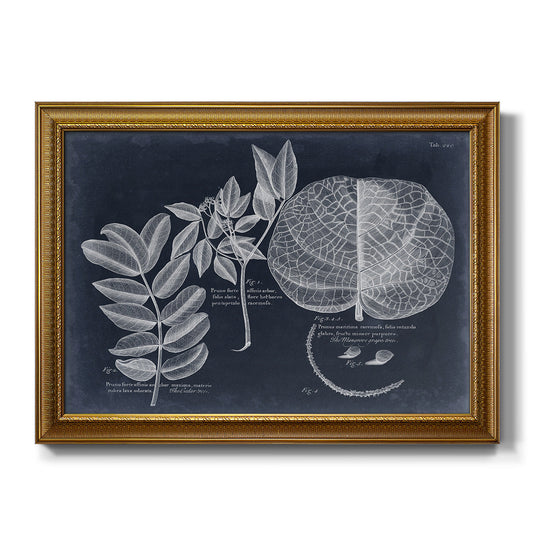 Foliage on Navy I - Ornate Framed Canvas Print