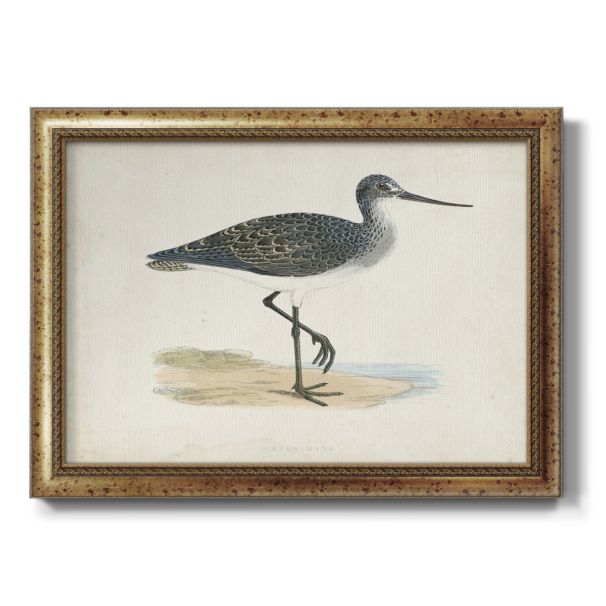 Morris Sandpipers III Premium Framed Canvas- Ready to Hang