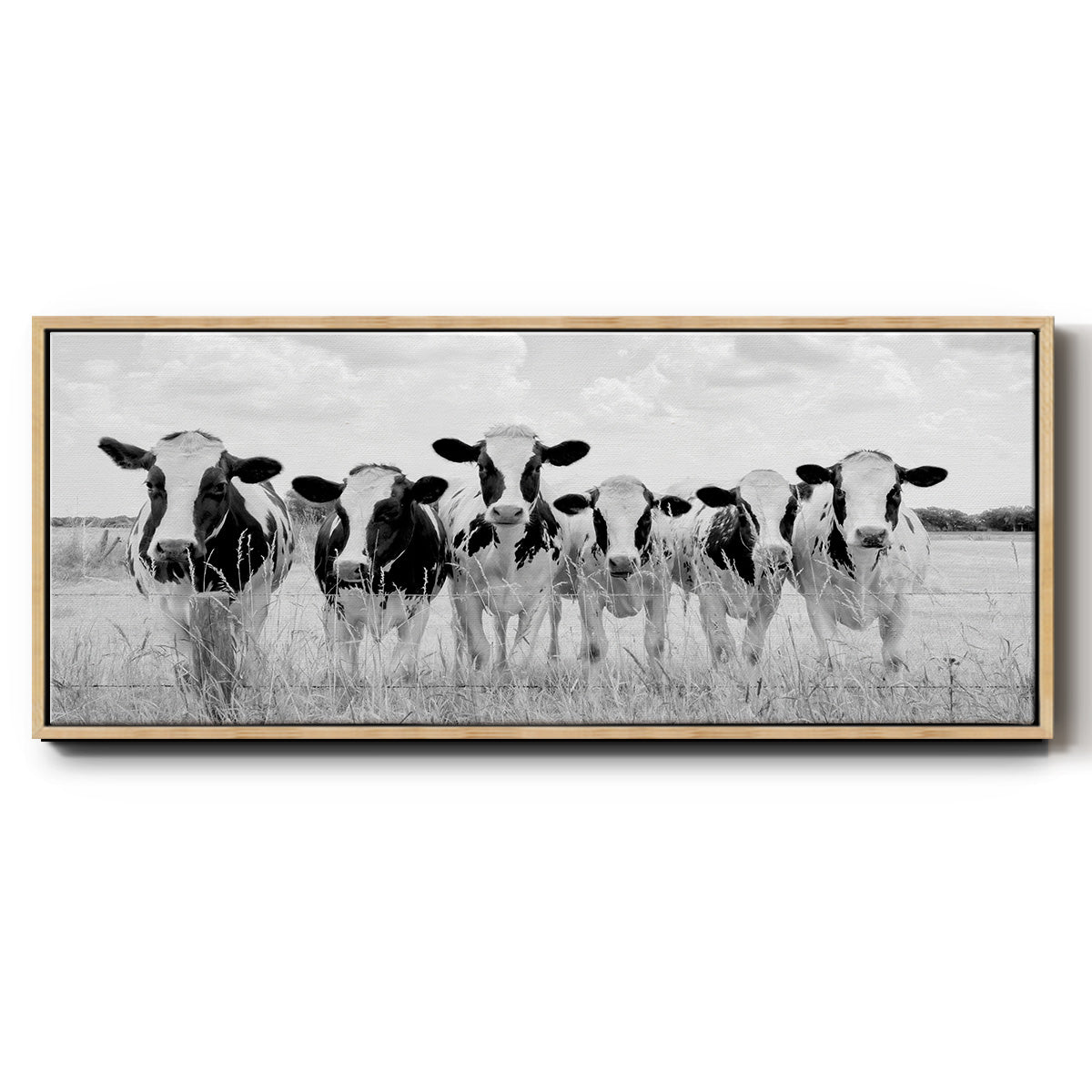 Grazing Pasture - Floater Framed Canvas Print